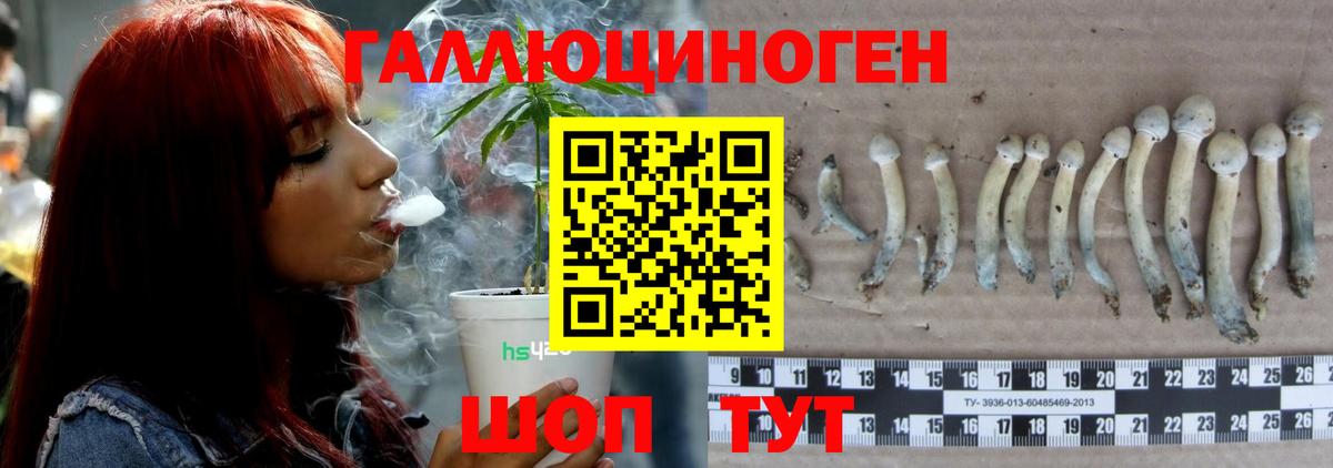 Красноуфимск  Галлюциногенные грибы Psilocybe  купить   Вход с VPN 